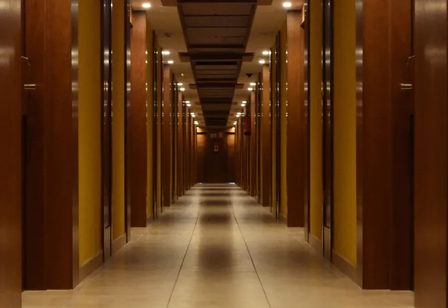 Timber veneer doors in a completed corridor
